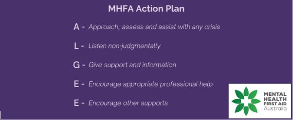MHFA Action Plan